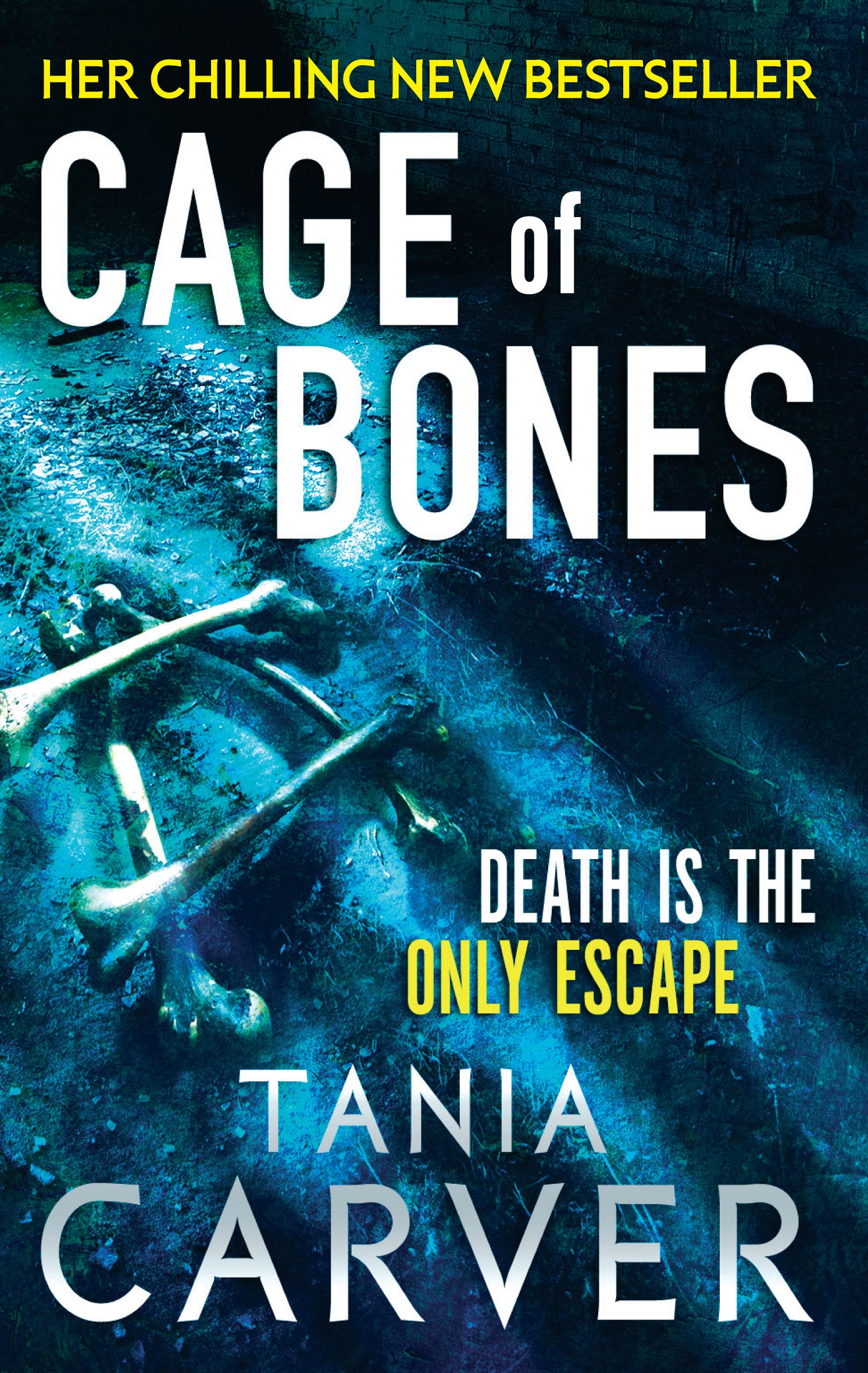 A Cage Of Bones